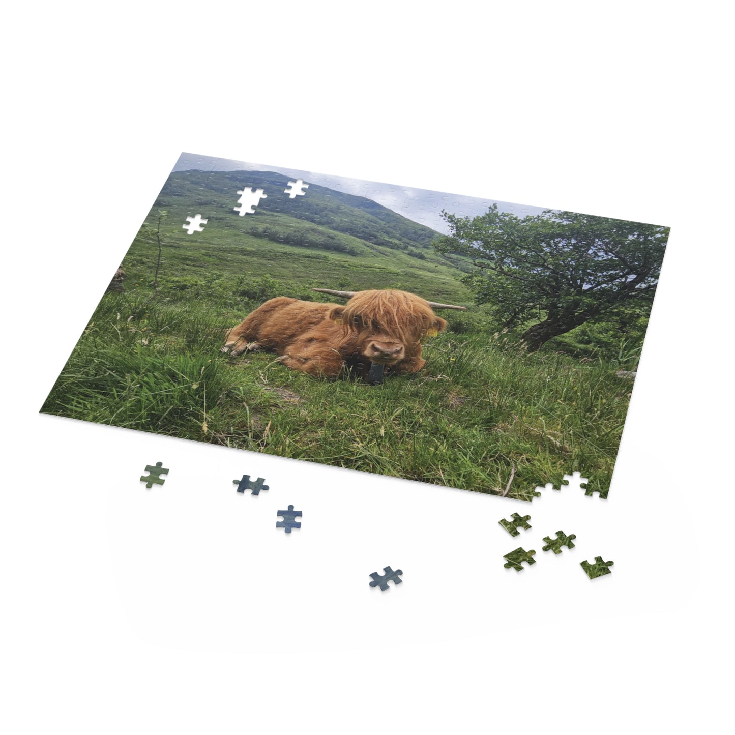 Highland Cow Puzzle, Scenic Jigsaw for Animal Lovers, Home Decor Gift, Relaxing Hobby, Unique Collectible