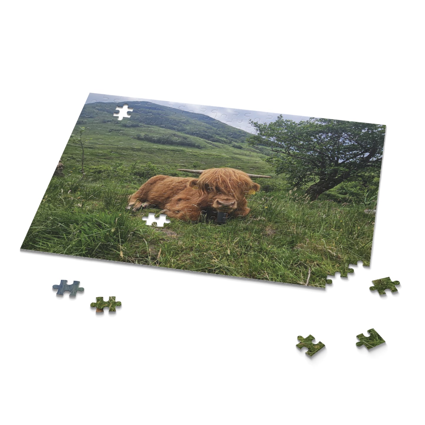 Highland Cow Puzzle, Scenic Jigsaw for Animal Lovers, Home Decor Gift, Relaxing Hobby, Unique Collectible