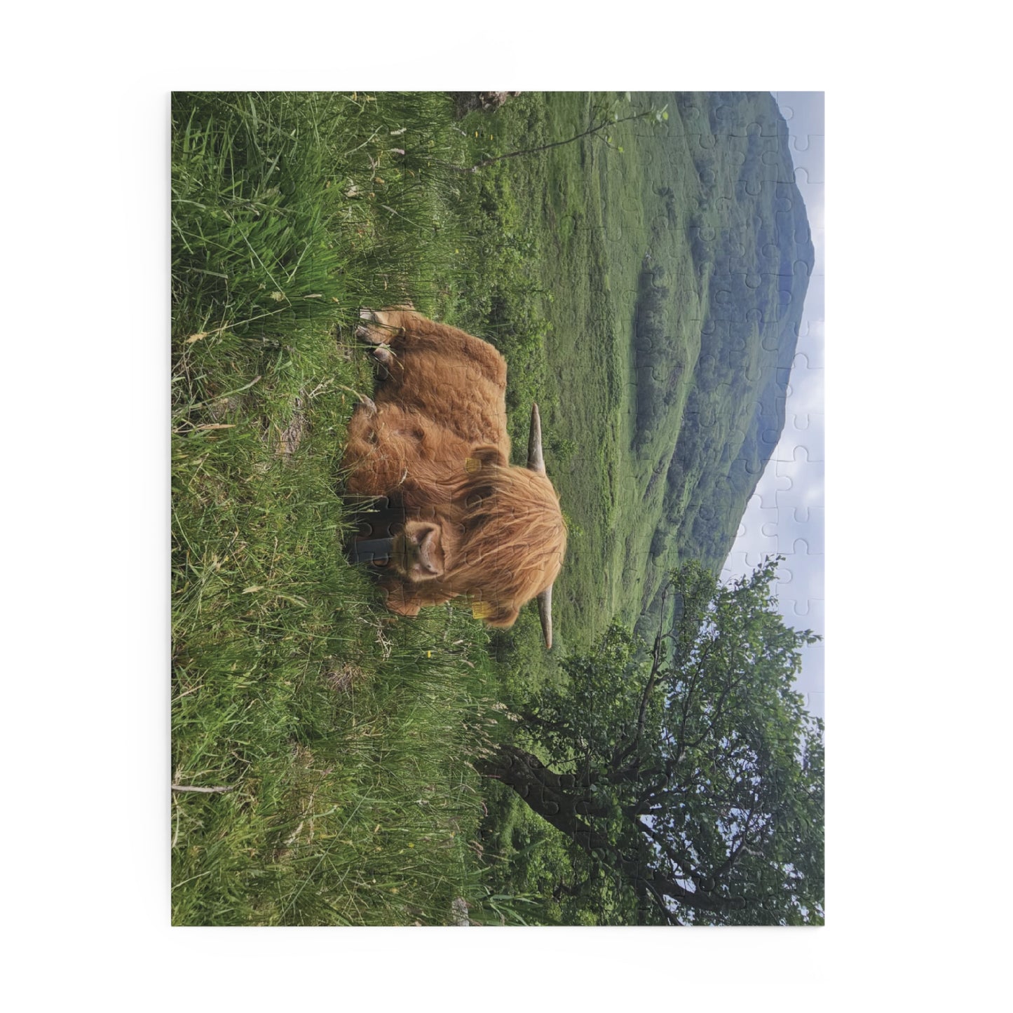 Highland Cow Puzzle, Scenic Jigsaw for Animal Lovers, Home Decor Gift, Relaxing Hobby, Unique Collectible
