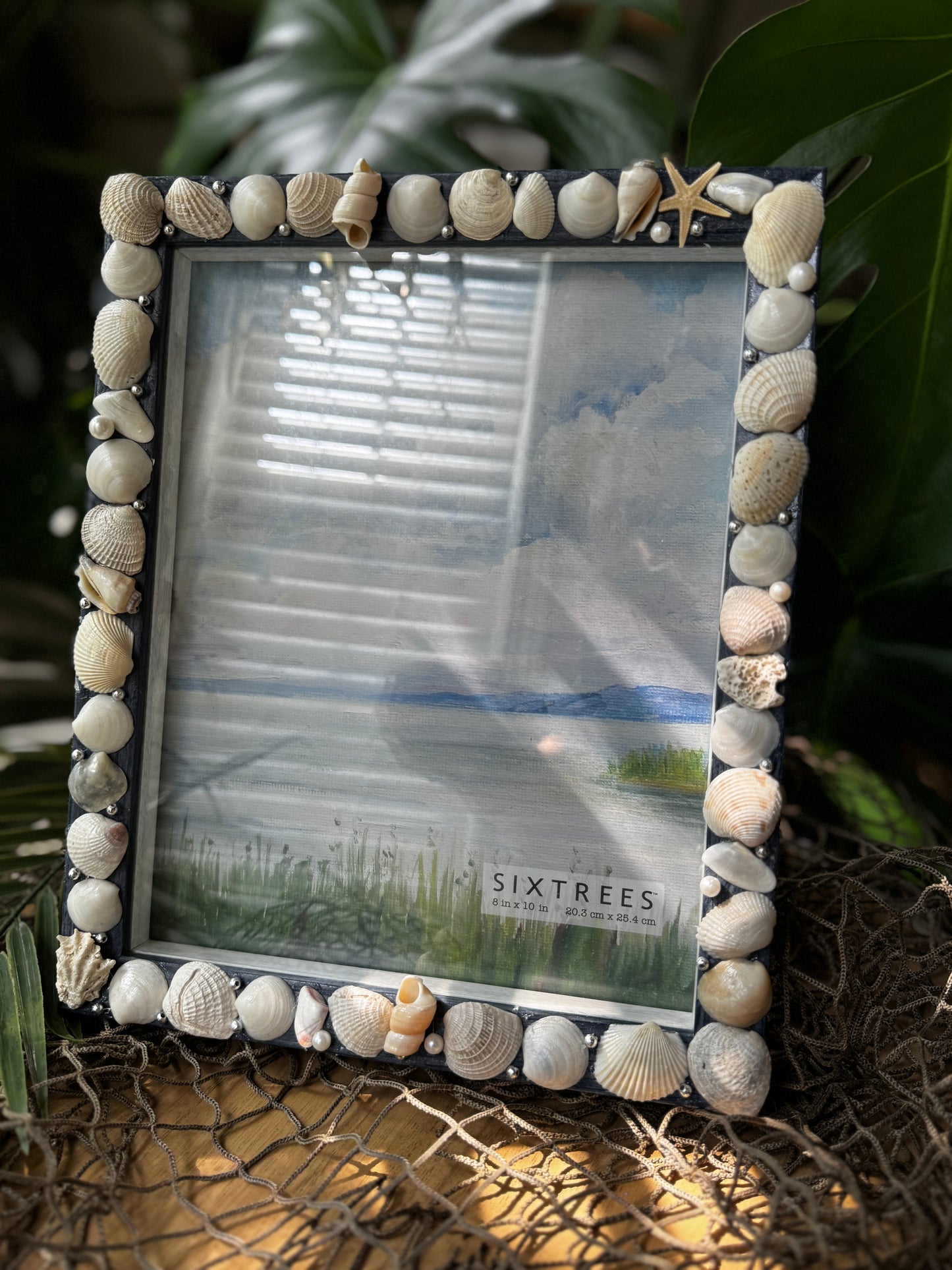 Seashell Shadow Box Frame