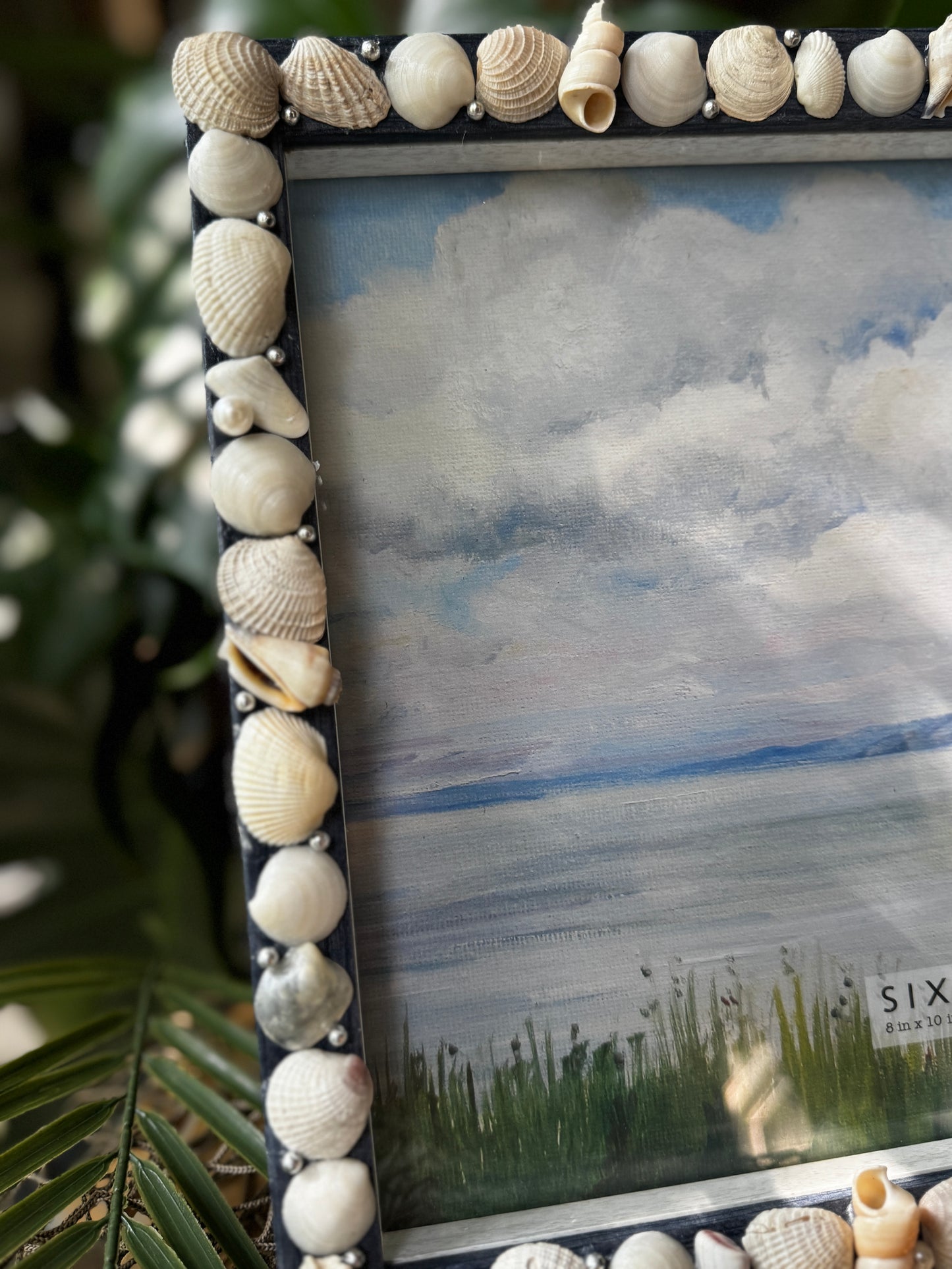 Seashell Shadow Box Frame
