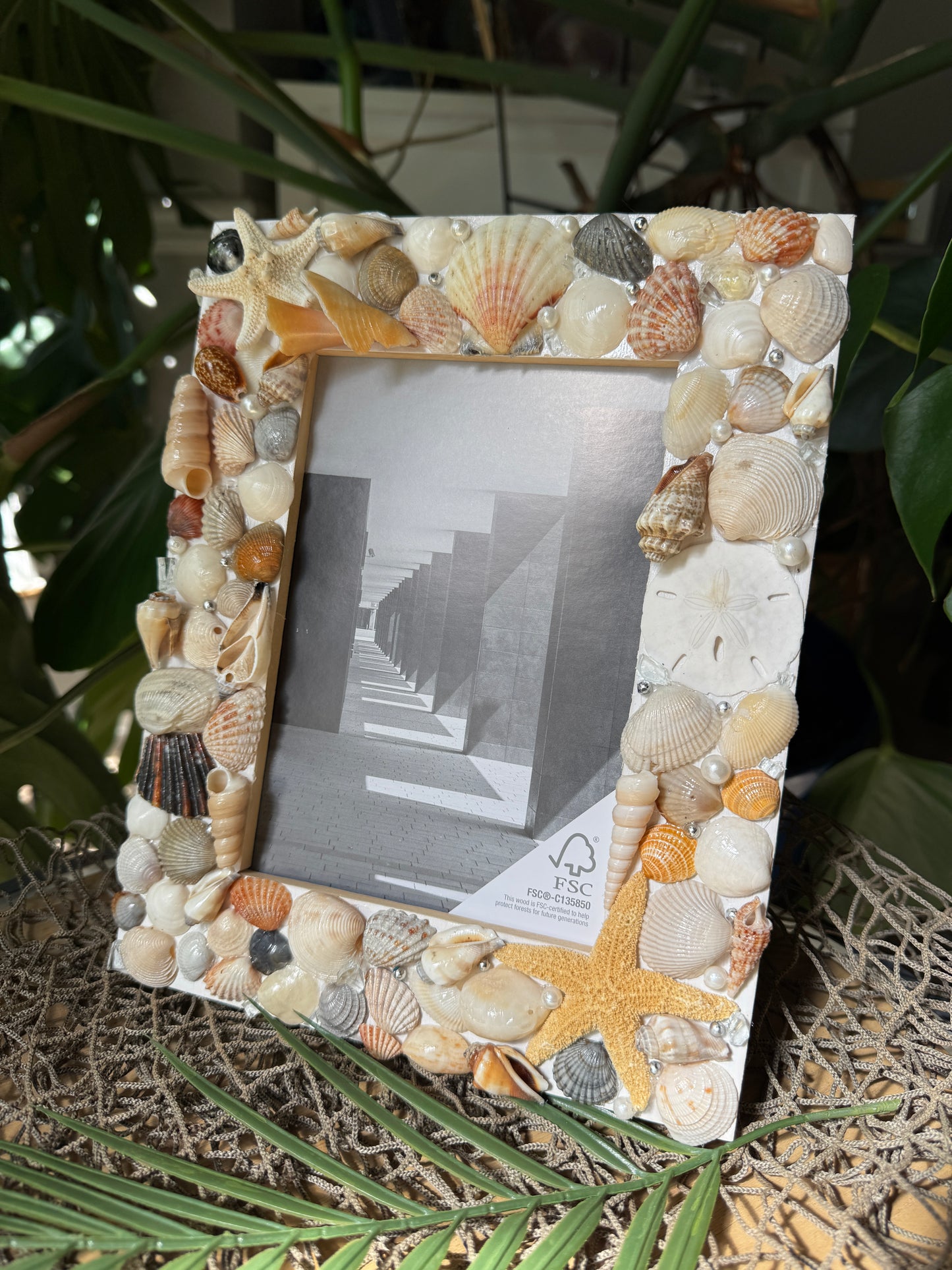 Starfish Shell Frame