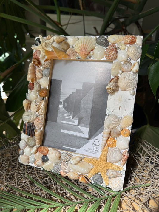Starfish Shell Frame