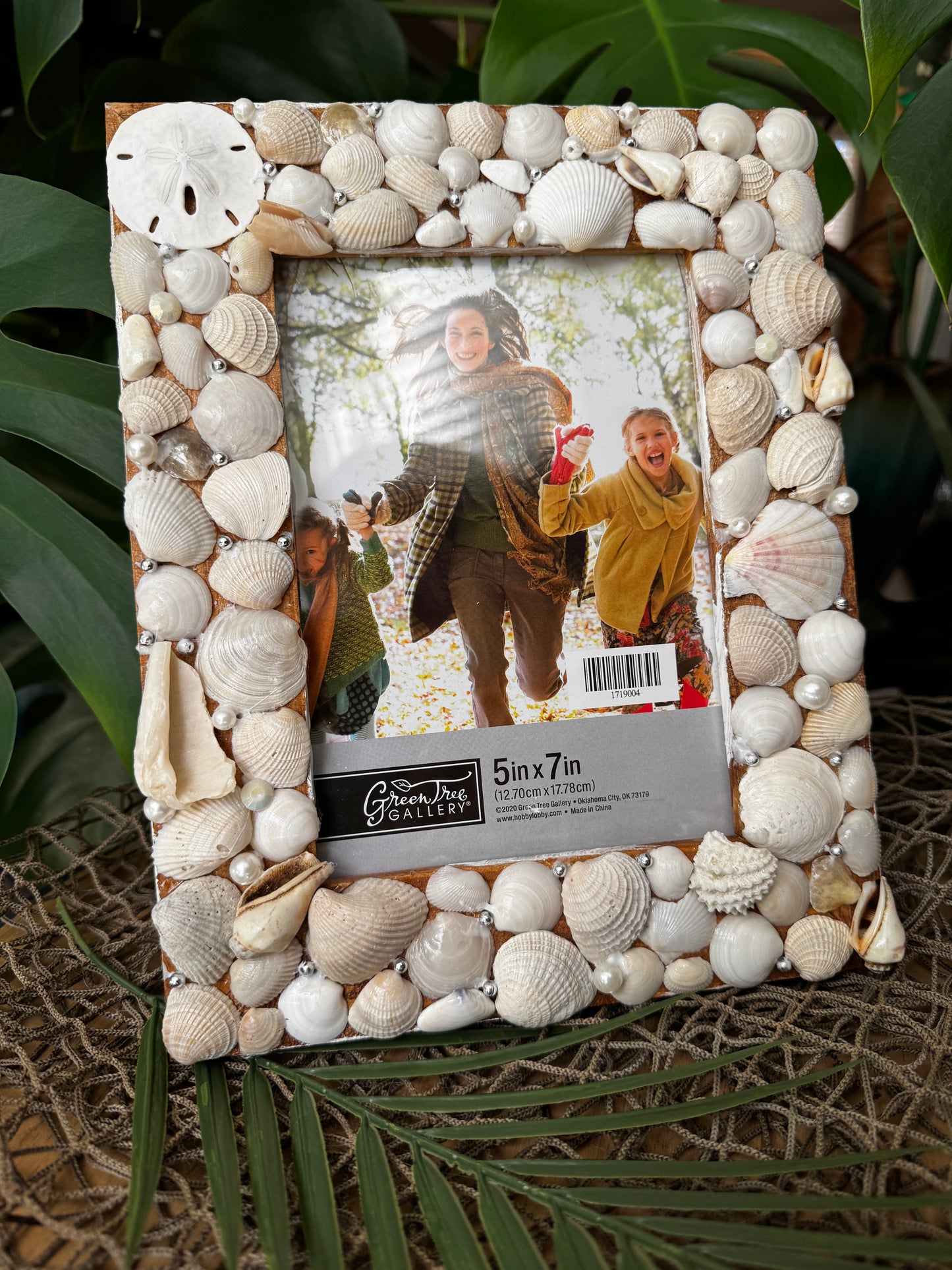 Sand Dollar Picture Frame