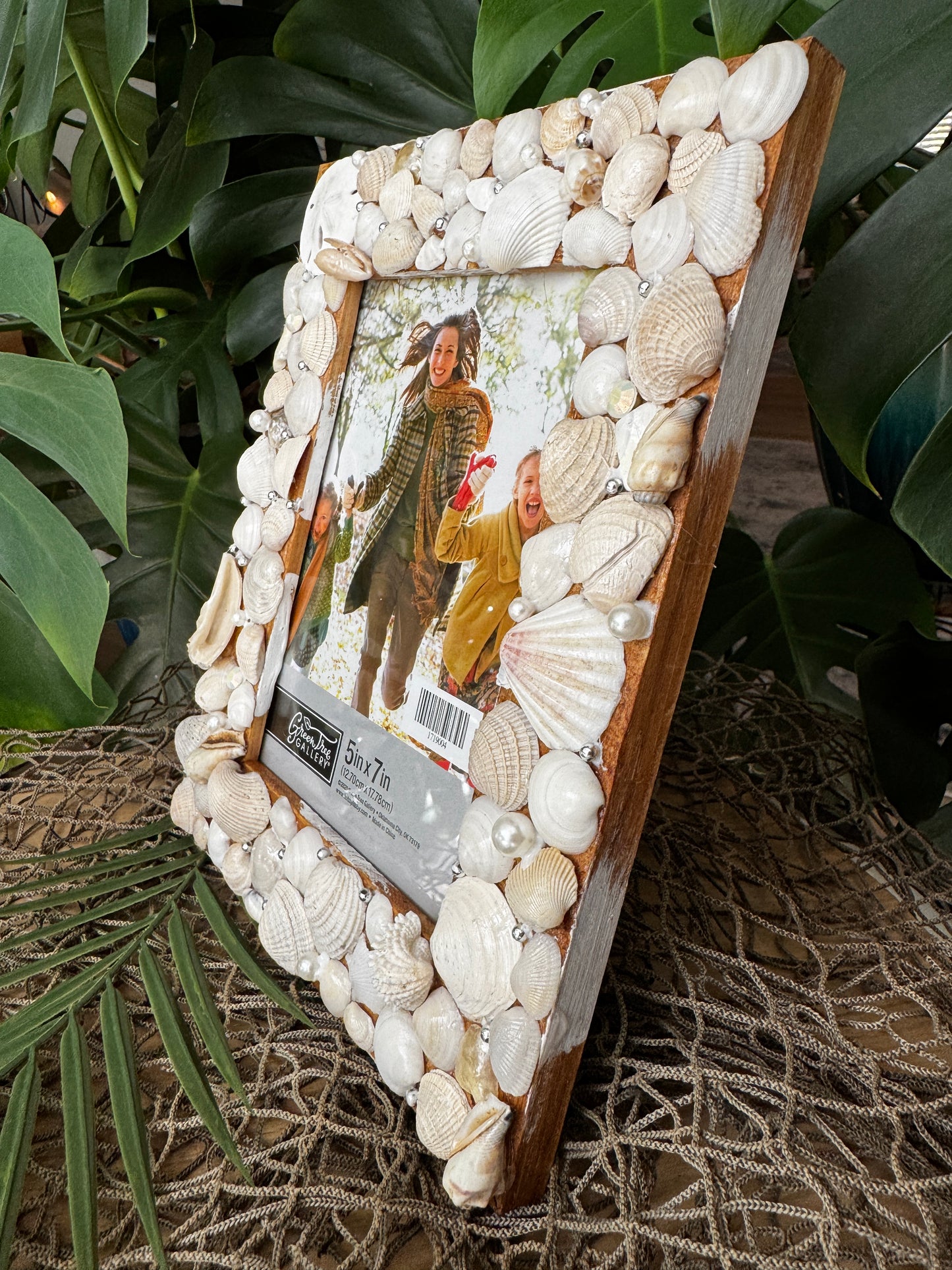 Sand Dollar Picture Frame