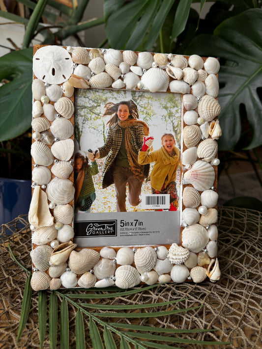 Sand Dollar Picture Frame
