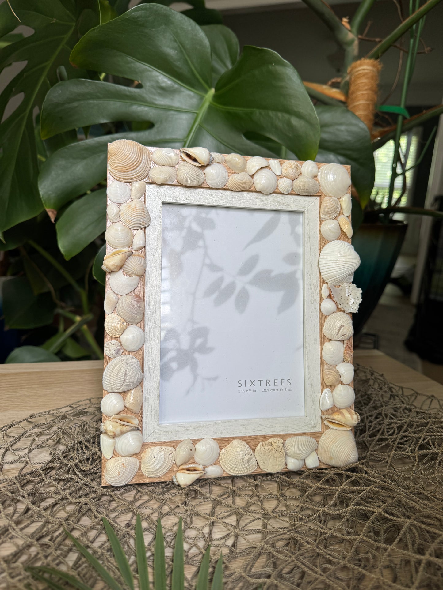 Shell Frame