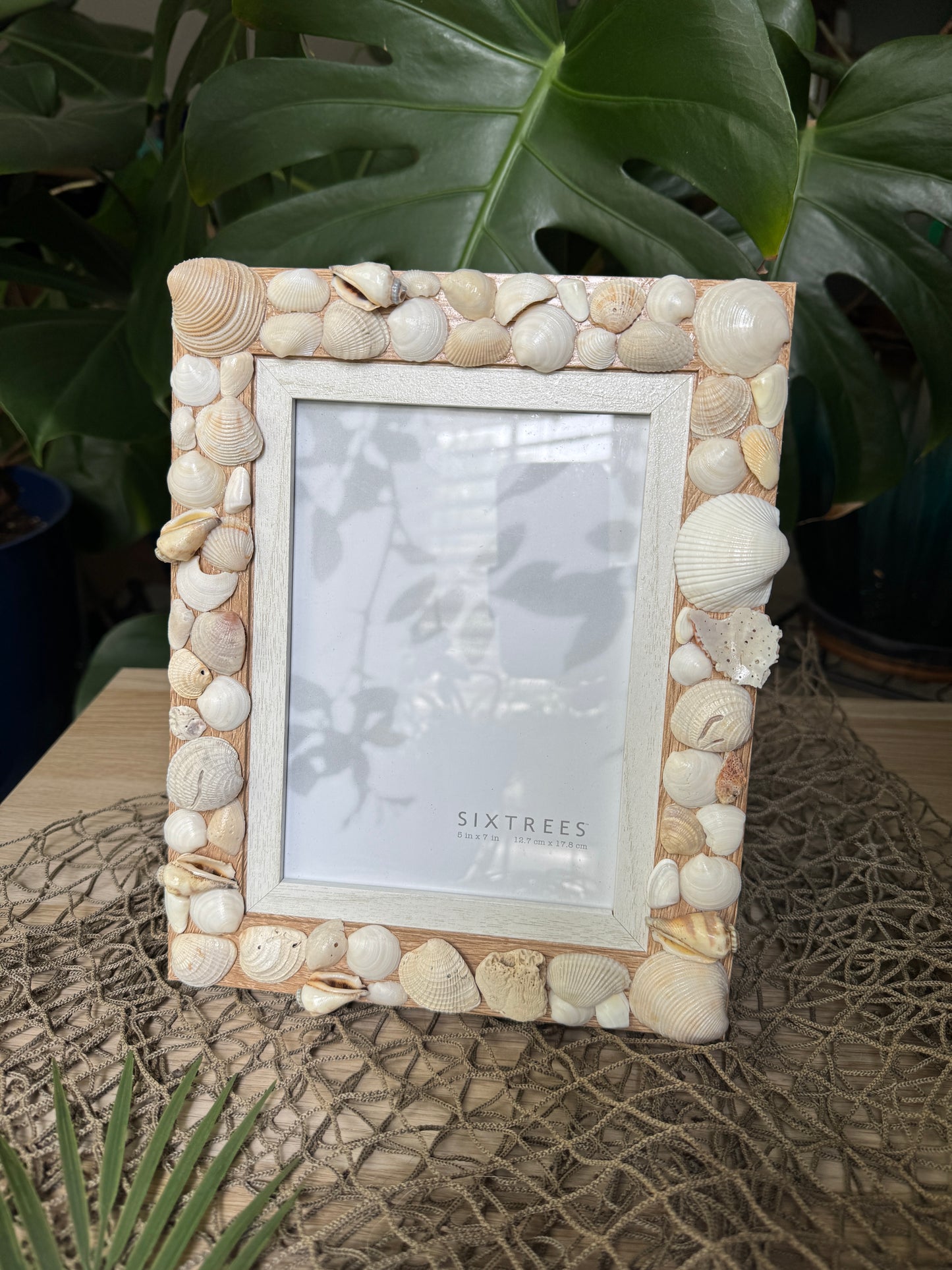 Shell Frame