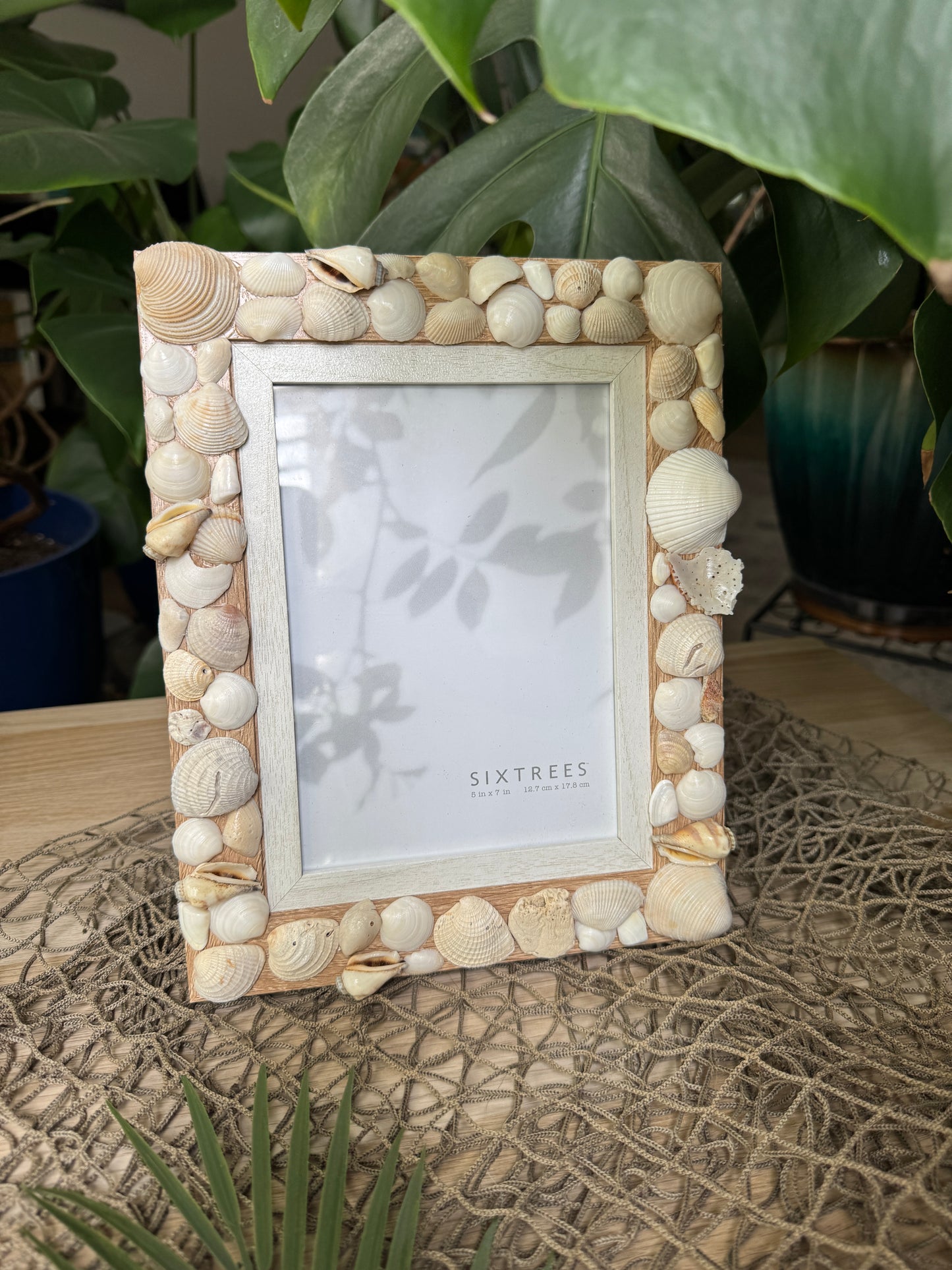 Shell Frame