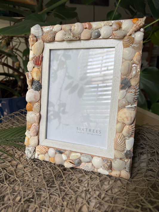 Shell Frame