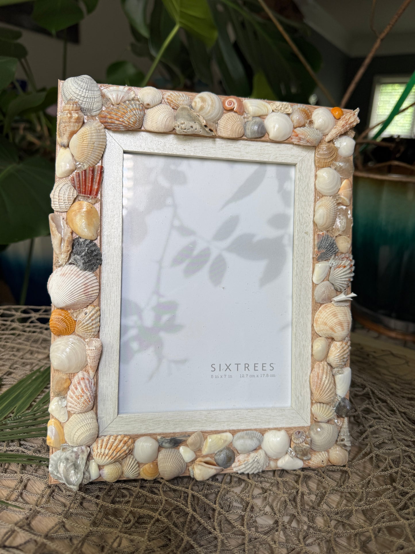 Shell Frame