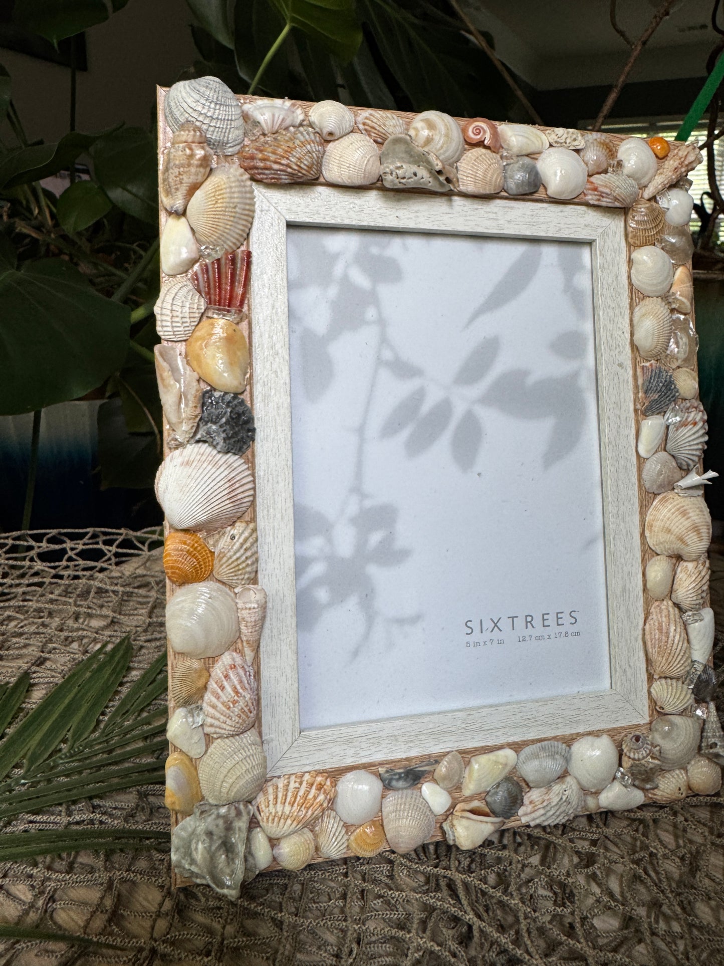 Shell Frame