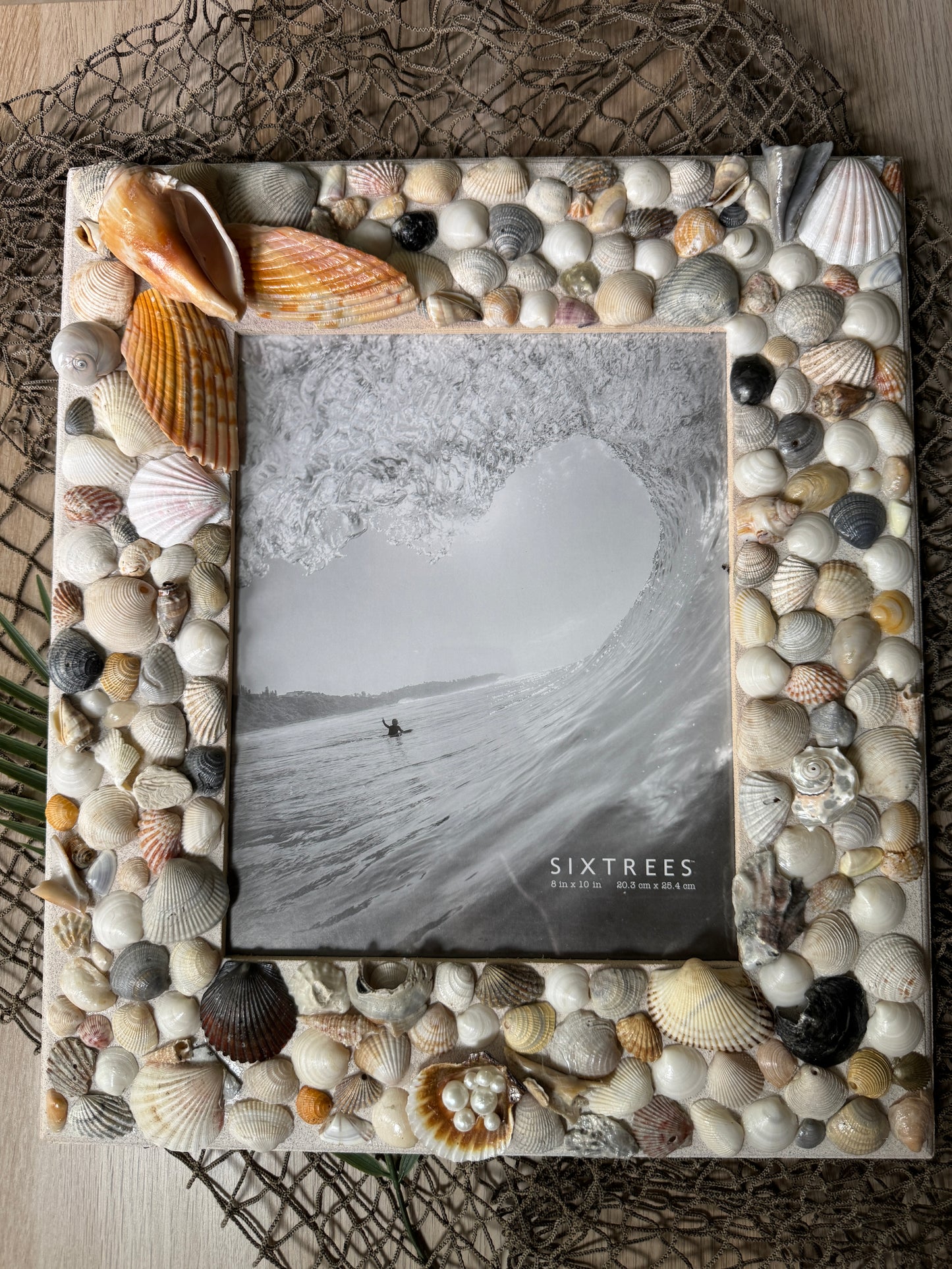 Angel Wing Seashell Wall Frame 8 x 10