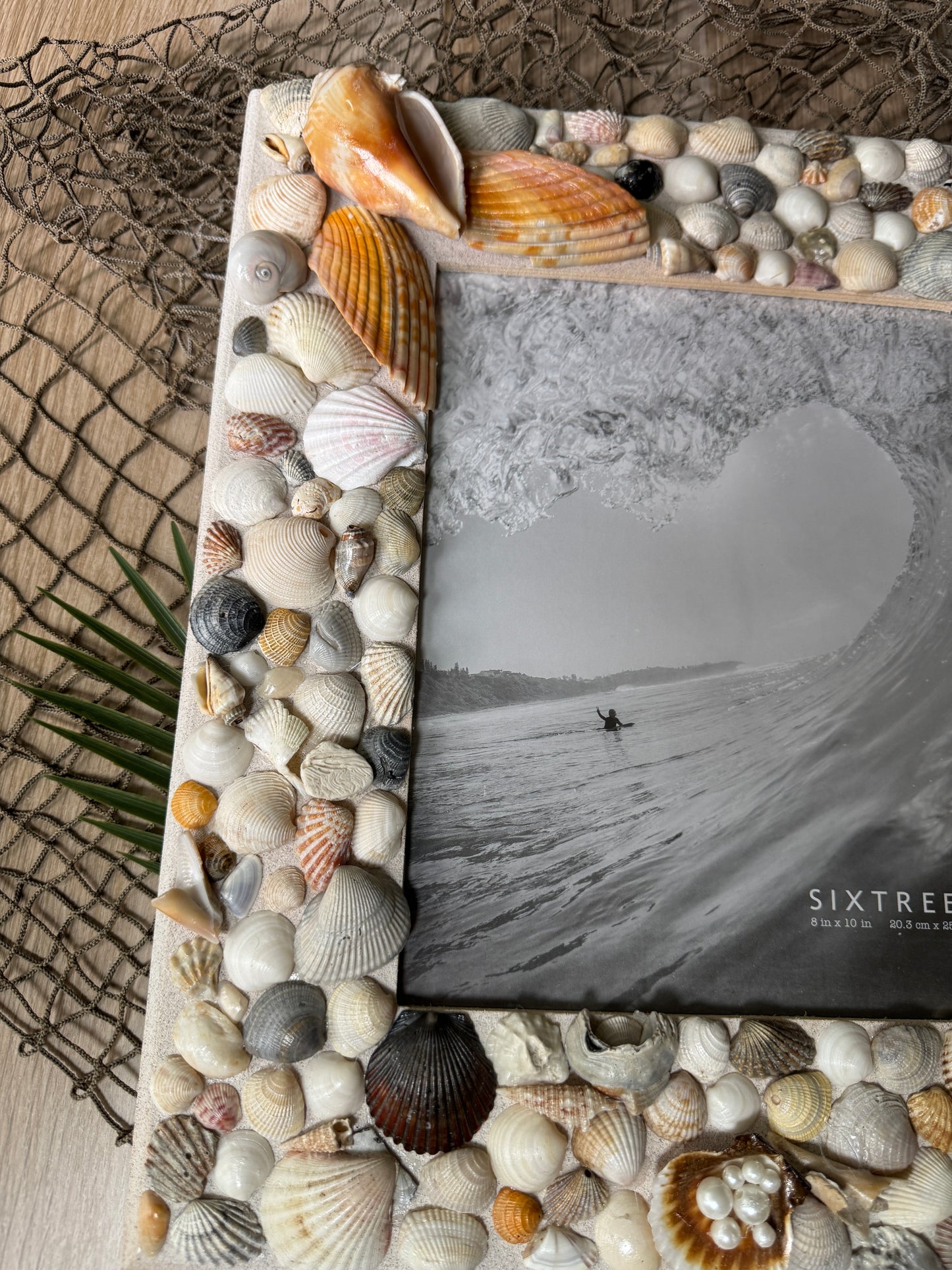 Angel Wing Seashell Wall Frame 8 x 10