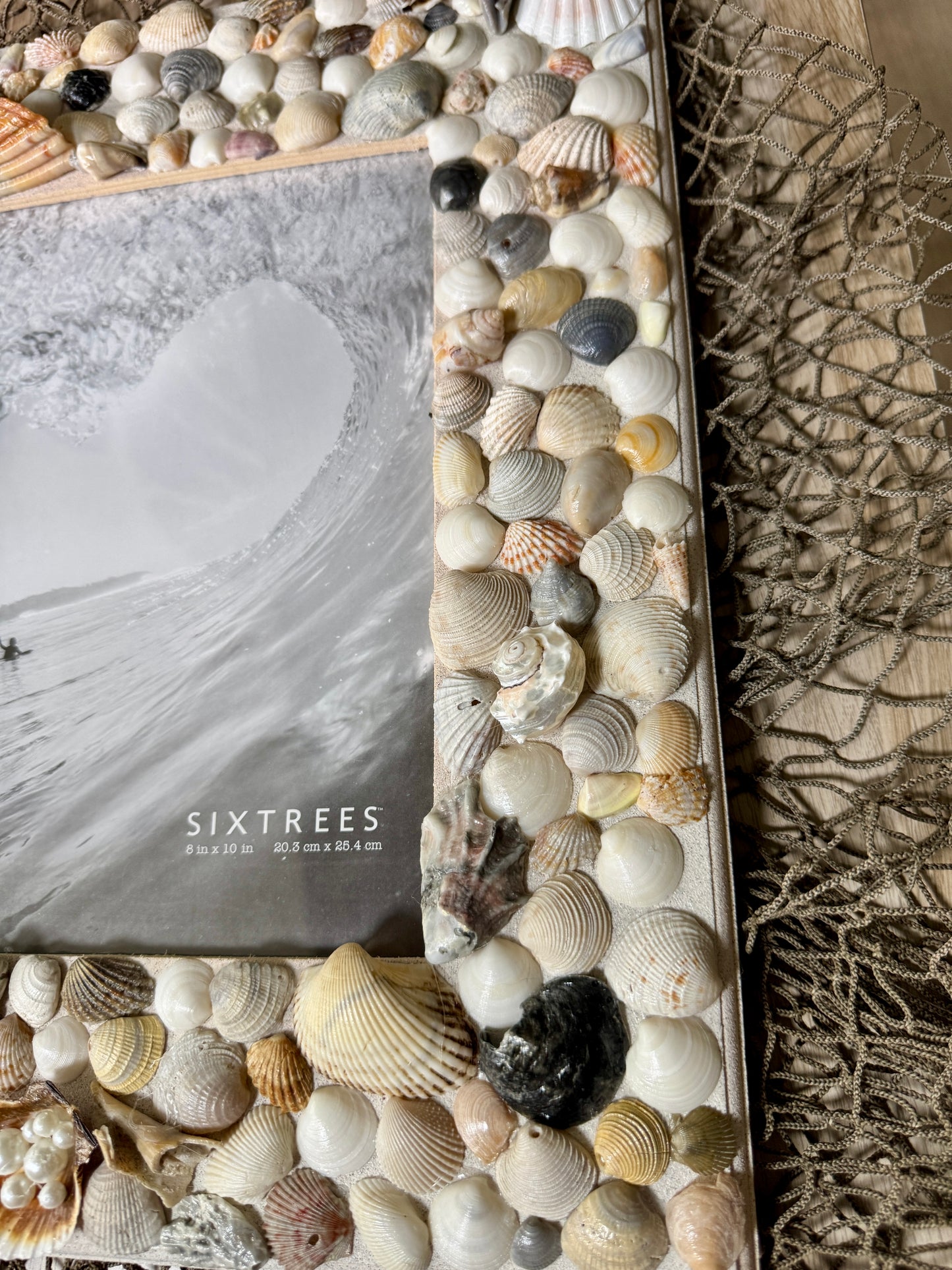 Angel Wing Seashell Wall Frame 8 x 10