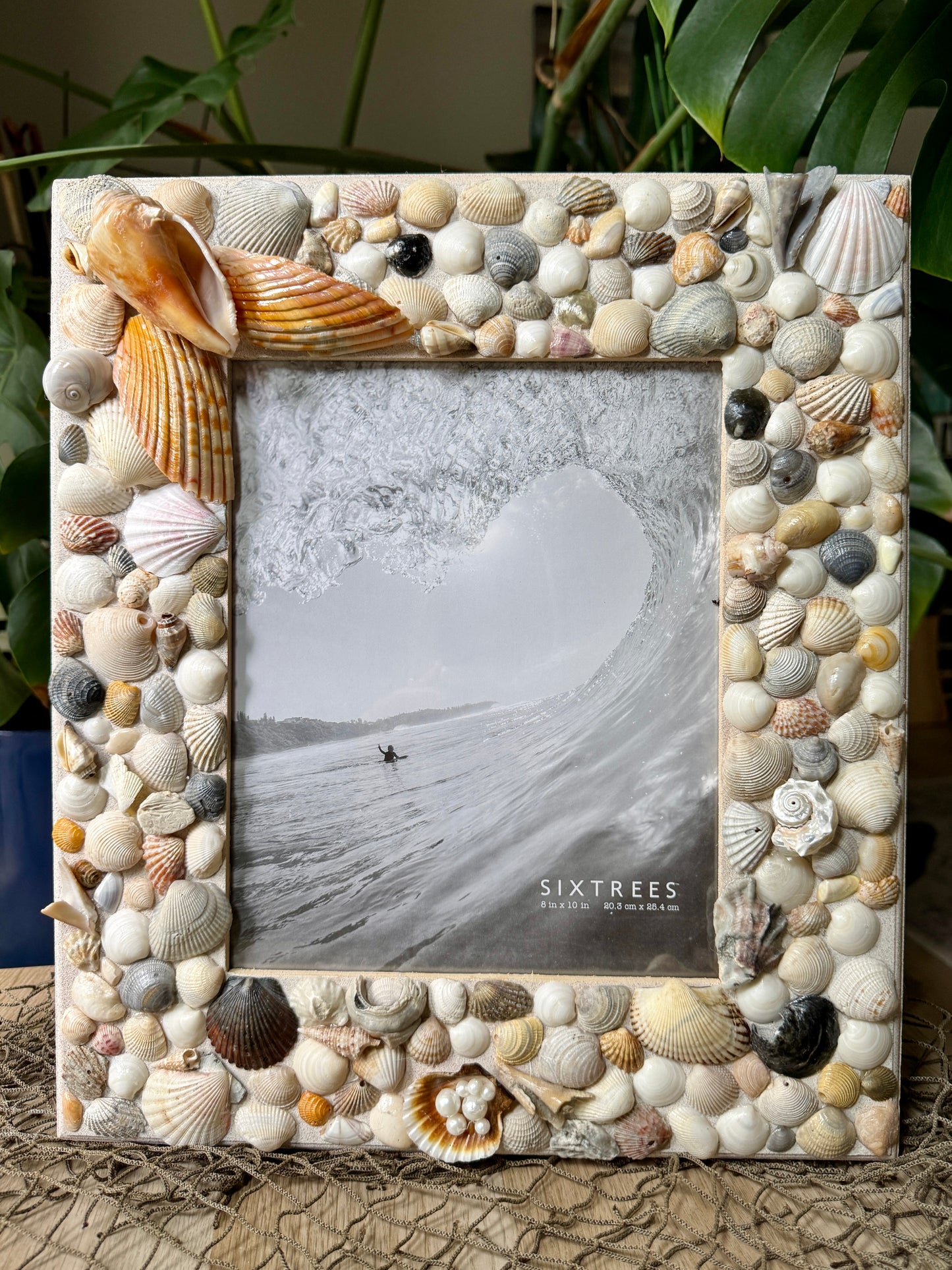 Angel Wing Seashell Wall Frame 8 x 10