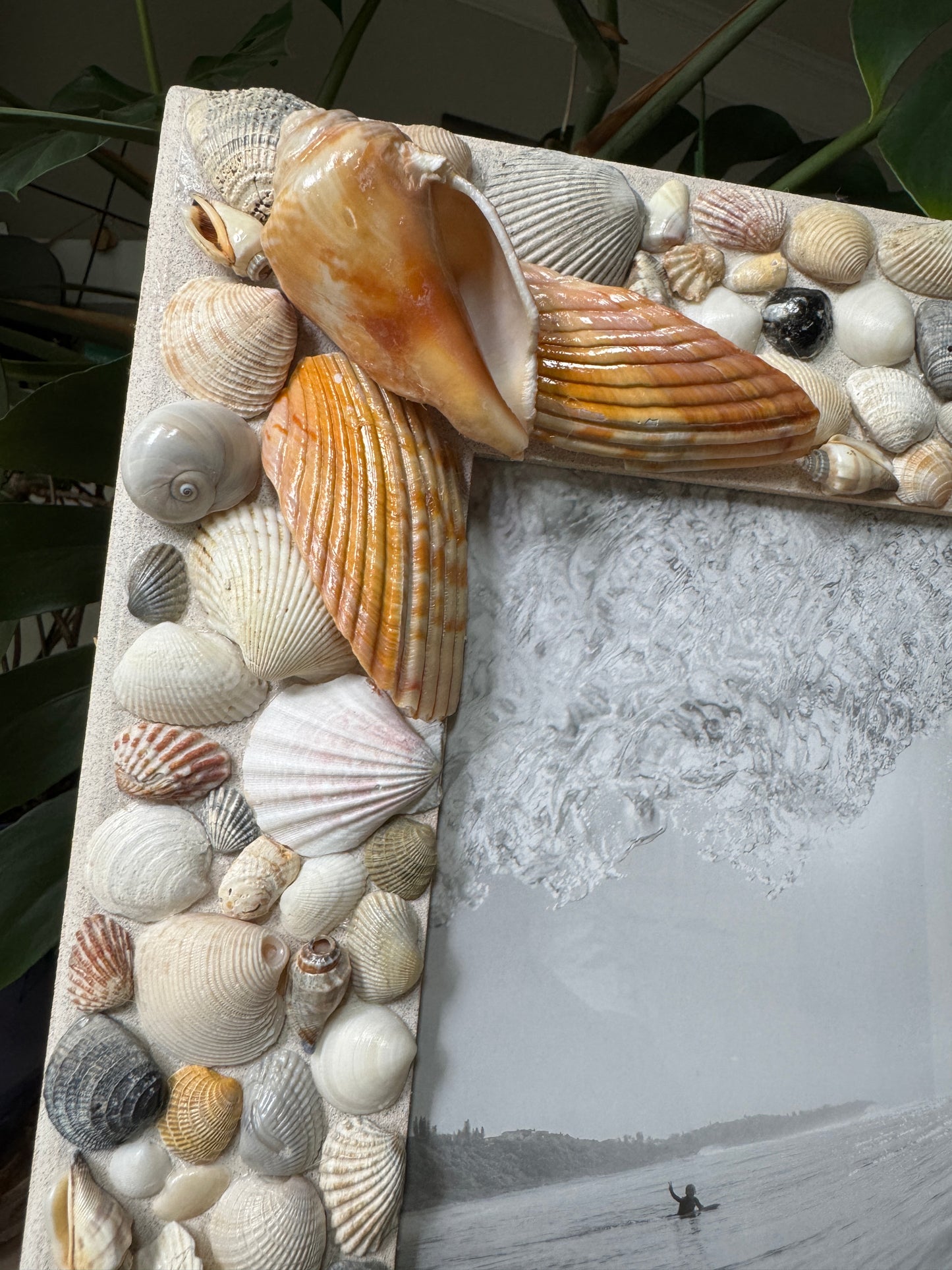 Angel Wing Seashell Wall Frame 8 x 10