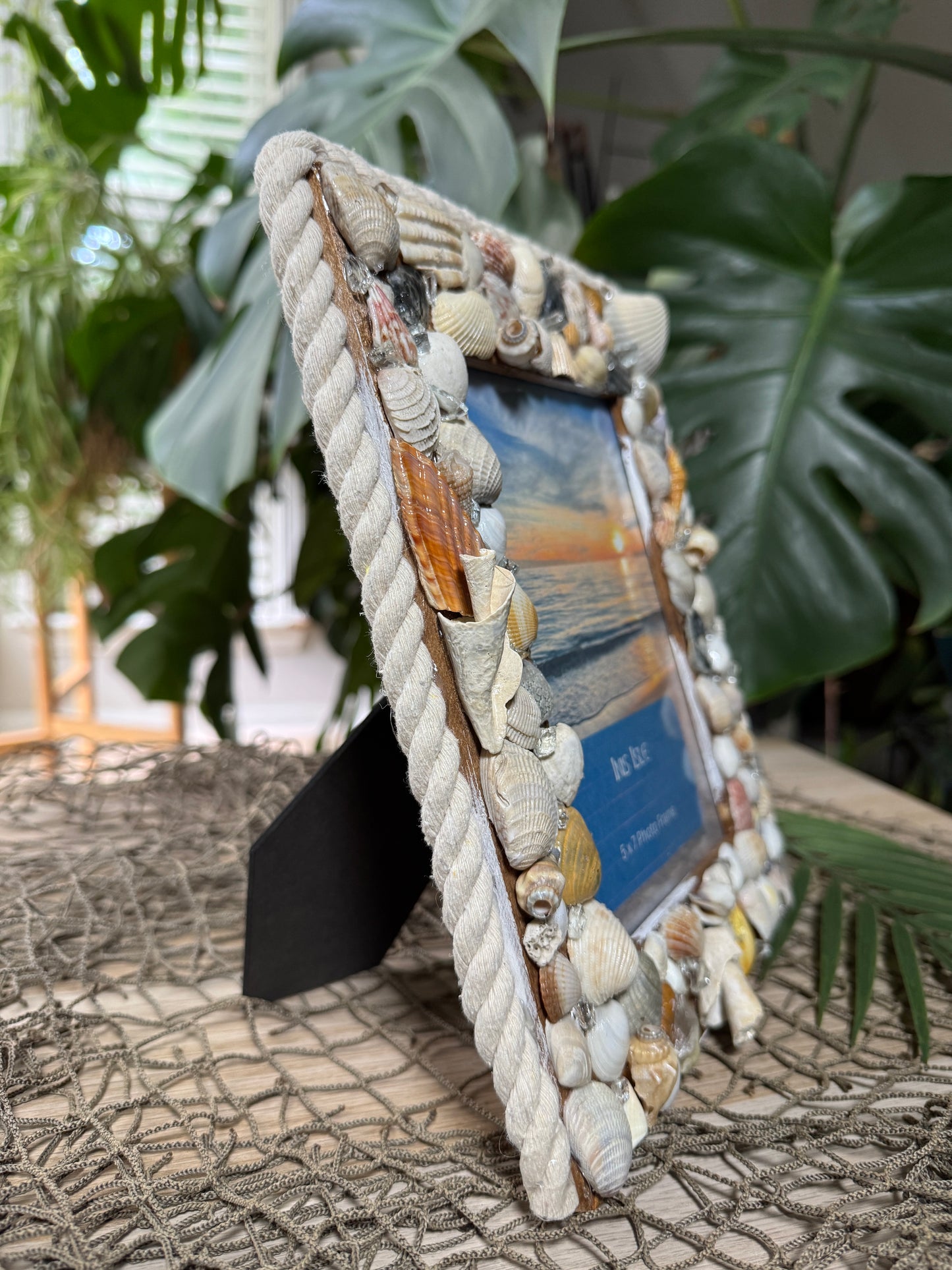 Hang On! Shell Frame
