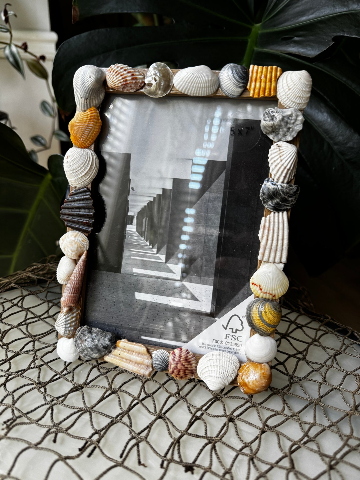 Seashell Picture Frame